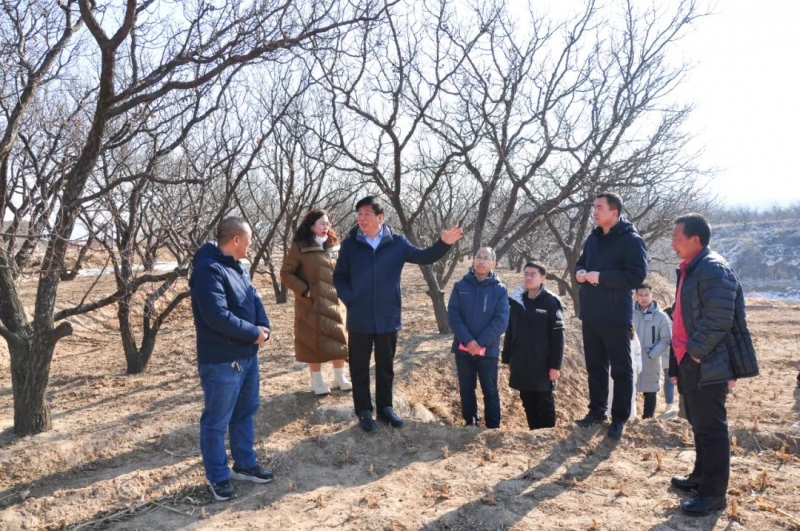 党委书记冯印涛检查指导学院下沉驻村工作