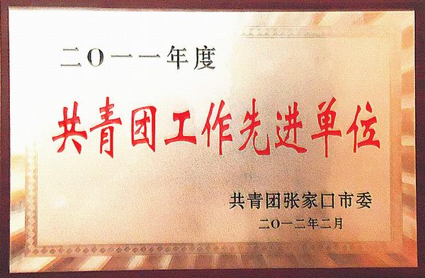 热烈祝贺best365团委获得“五四红旗团委”荣誉称号