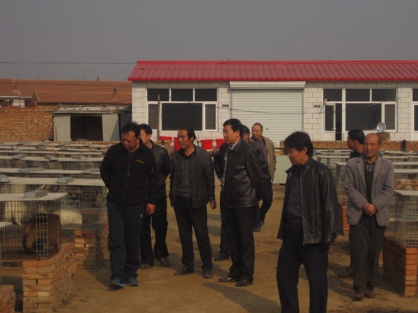 党委书记胡炜赴赤城调研驻村帮扶工作