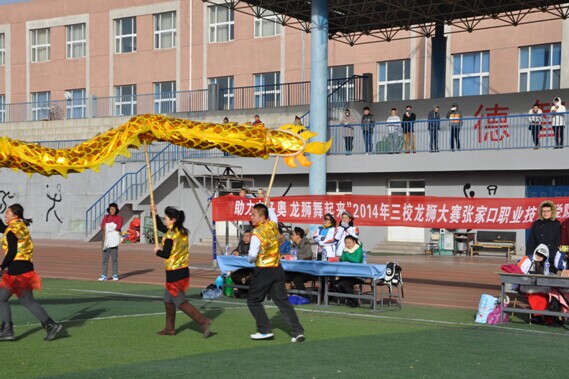 张家口高校首届龙狮表演决赛在best365成功举办