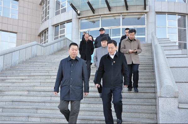 陈冲副市长一行到best365足球官网调研