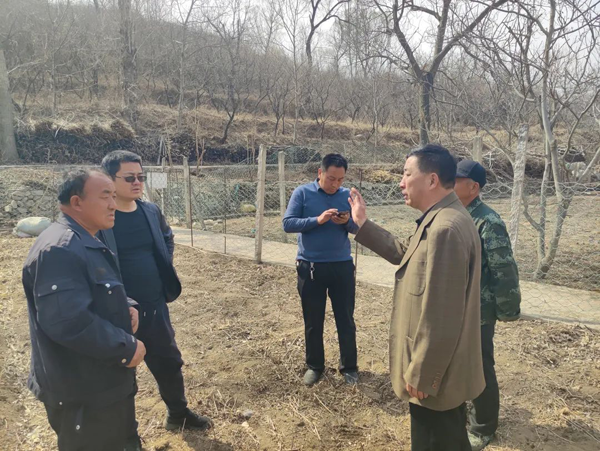 聚力乡村促振兴 | 学院驻北新屯村乡村振兴工作队力促当地特色产业发展