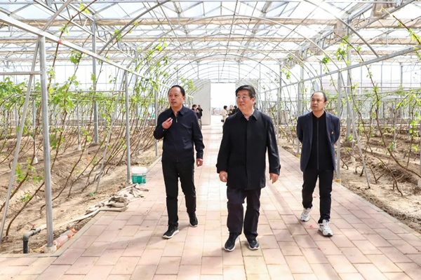 党委书记冯印涛率队赴怀来县调研督导乡村振兴帮扶工作